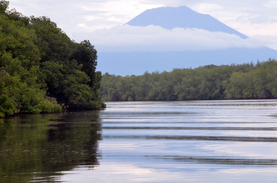 Le Salvador est le plus petit pays d'Amérique centrale et le seul à ne pas avoir de façade maritime sur la mer des Caraïbes. C'est une contrée de volcans, de montagnes, mais aussi de forêts. Sur la photo la réserve de biosphère de la baie de Jiquilisco@ David Raynal Le Salvador est le plus petit pays d'Amérique centrale et le seul à ne pas avoir de façade maritime sur la mer des Caraïbes. C'est une contrée de volcans, de montagnes, mais aussi de forêts. Sur la photo la réserve de biosphère de la baie de Jiquilisco@ David Raynal
