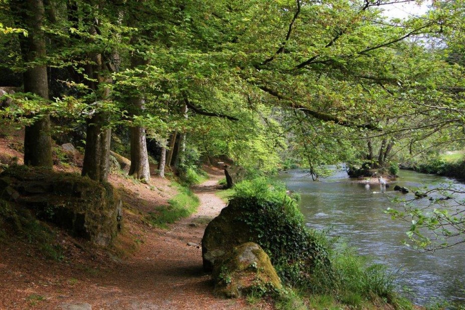 Pont Aven,  berceau des peintres