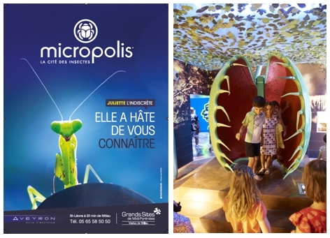 2/ Plante carnivore (copyright micropolis-aveyron.com) 2/ Plante carnivore (copyright micropolis-aveyron.com)
