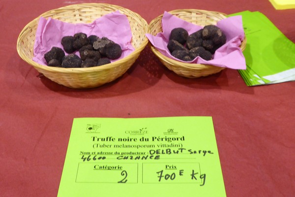 Sélection des truffes noires Melanosporum lors des Foires grasses. @ C.Gary