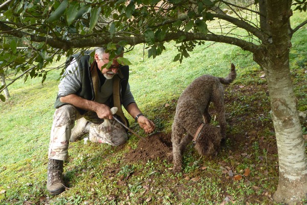 Cavage de la truffe avec le maître et son chien @ C.Gary