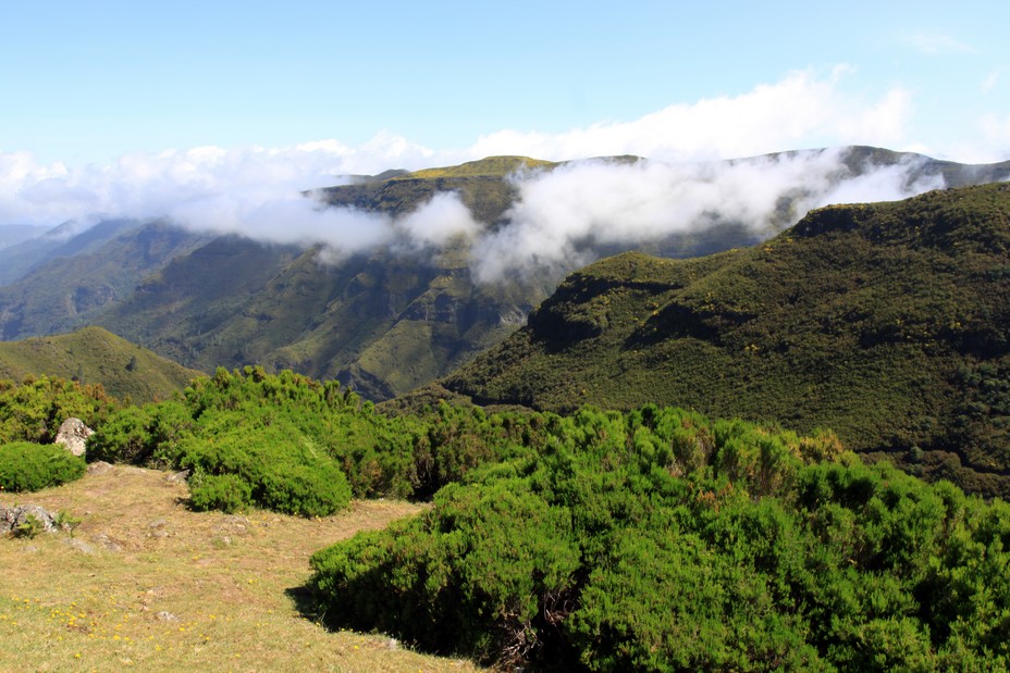 Le parc naturel couvre environ 2/3 de la superficie de l’île et se divise en réserves naturelles partielles ou intégrales, en paysages protégés et en zones de loisir. - @ David Raynal