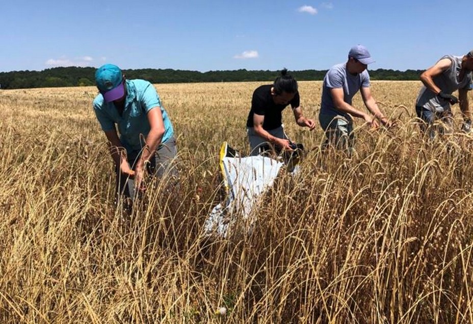 Focus sur l 'entreprenariat du Bio, responsable et solidaire