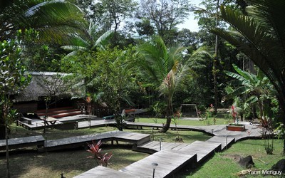 Le Camp Cariacou (Guyane) Photo Yann Menguy