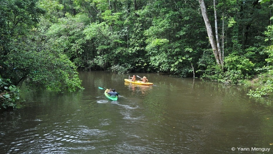 Balade sur le fleuve  en pleine forêt amazonienne guyanaise (photo Yann Menguy)