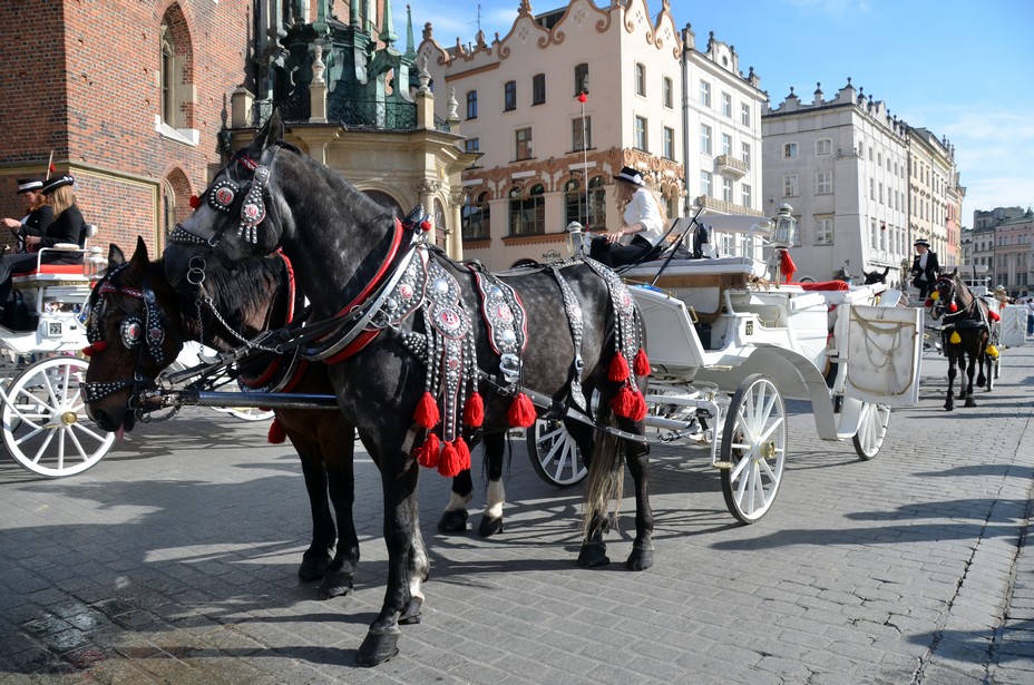 Balade en calèche pour visiter cette belle Cracovie. @ David Raynal