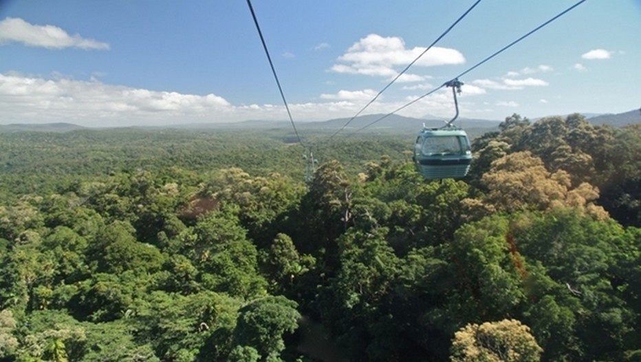 Surf en télécabine à bord de Skyrail, au dessus de la canopée ©Patrick Cros