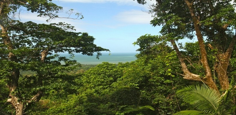 Une rencontre unique au monde à Cape Tribulation, entre deux sites du patrimoine mondial : la Mer de corail et la rainforest ©Patrick Cros