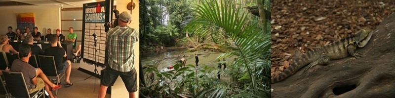 En direct d’Australie : Surf sur la canopée et plongée dans la plus vieille forêt du monde ! 	