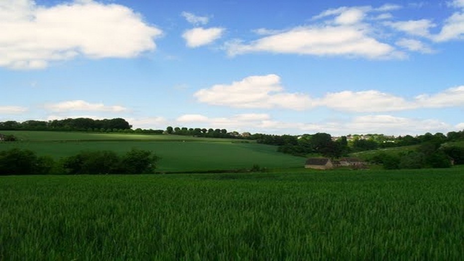 Paysage bucolique à Mortagne-au-Perche dans l'Orne (Photo H.Jules)