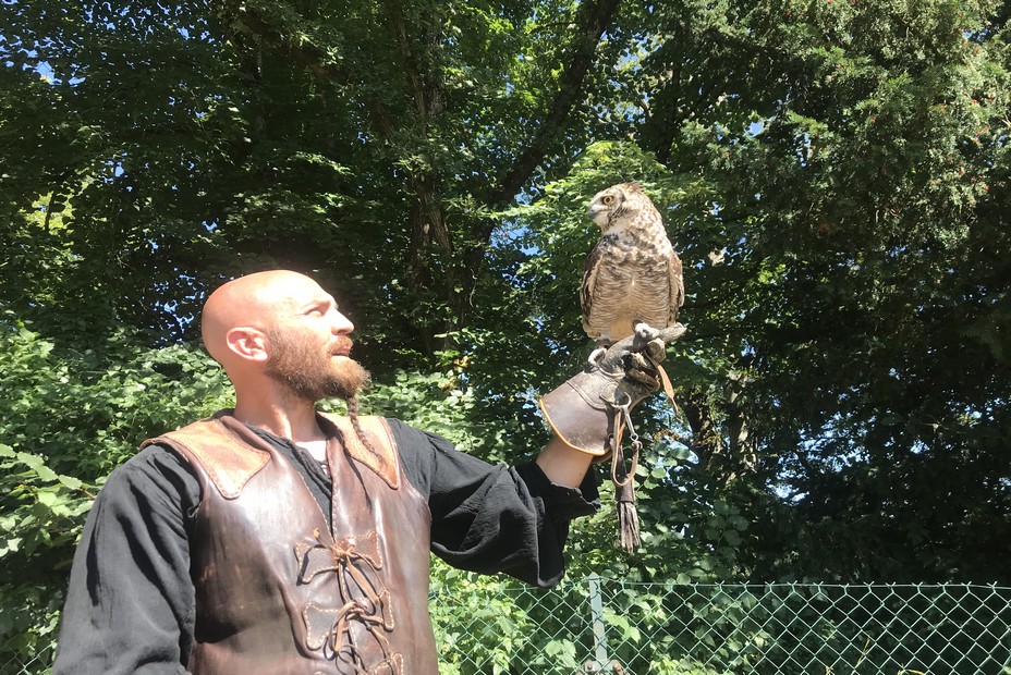 Spectacle de fauconnerie Rapaces. @ Château de Langeais