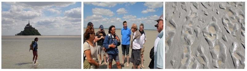 1/ Le guide Patrick entraîne les touristes vers le Mont  2/ Les touristes entourent le guide avant la balade 3/ Le sable gris de la baie (photos André Degon)