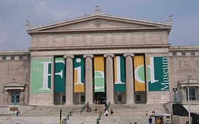 Façade du Museum Field de Chicago (photo DR) Façade du Museum Field de Chicago (photo DR)