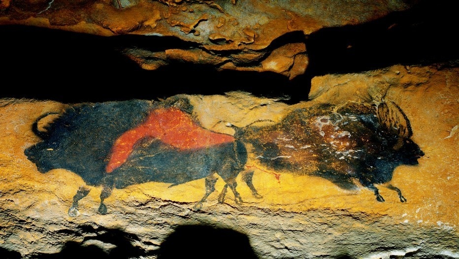 Le patrimoine de la Grotte de Lascaux, comme ici les Bisons adossés, se dévoile à l’international à l’aide d’une exposition itinérante gérée par une Spl ©Semitour