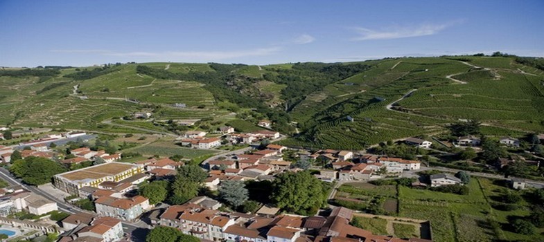 Vue d'ensemble sur les vignobles du célèbre Côte-Rôtie (Photo Domaine de Gilles Barge)