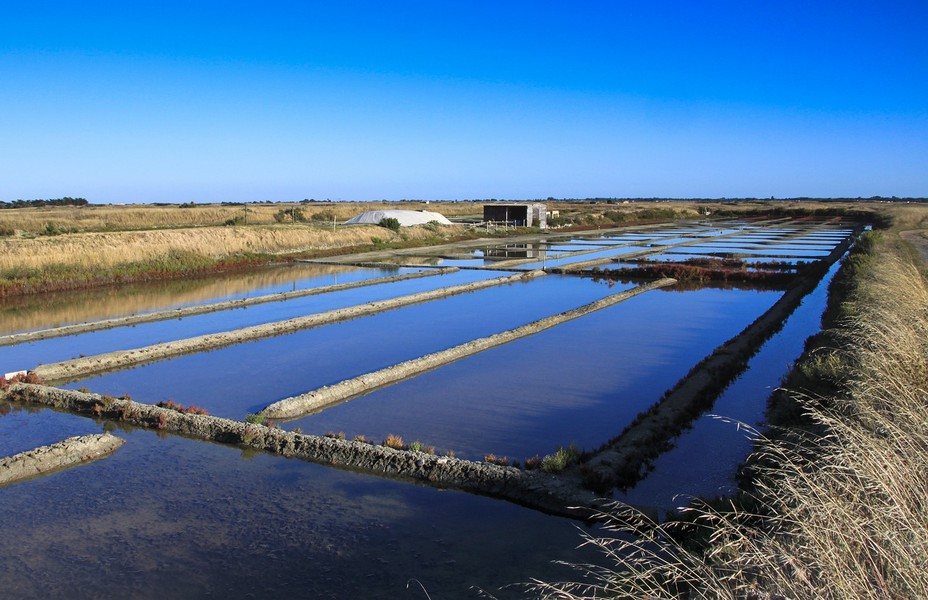 Superbe vue sur les marais salants de Noirmoutier. @ Pixabay/Lindigomag