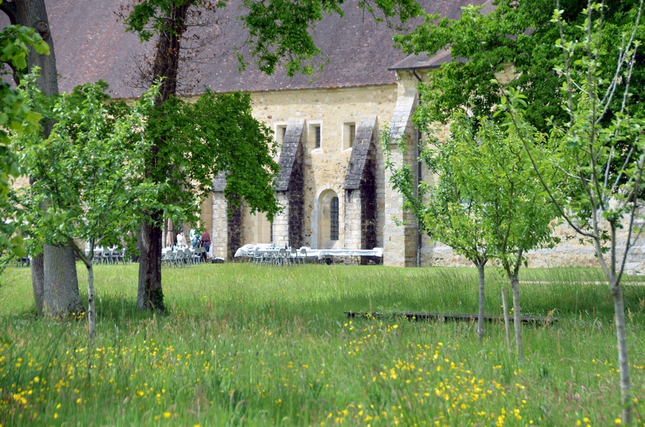 L’Abbaye dispose également d’un verger conservatoire, avec des pommes anciennes cultivées en partenariat avec les « Croqueurs de pommes » de la Sarthe @ David Raynal L’Abbaye dispose également d’un verger conservatoire, avec des pommes anciennes cultivées en partenariat avec les « Croqueurs de pommes » de la Sarthe @ David Raynal
