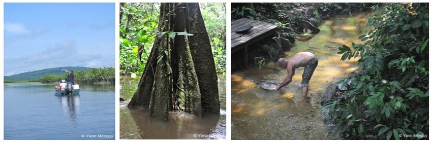 Carnet de voyage en Guyane, deuxième étape : « La réserve naturelle de Kaw-Roura » 