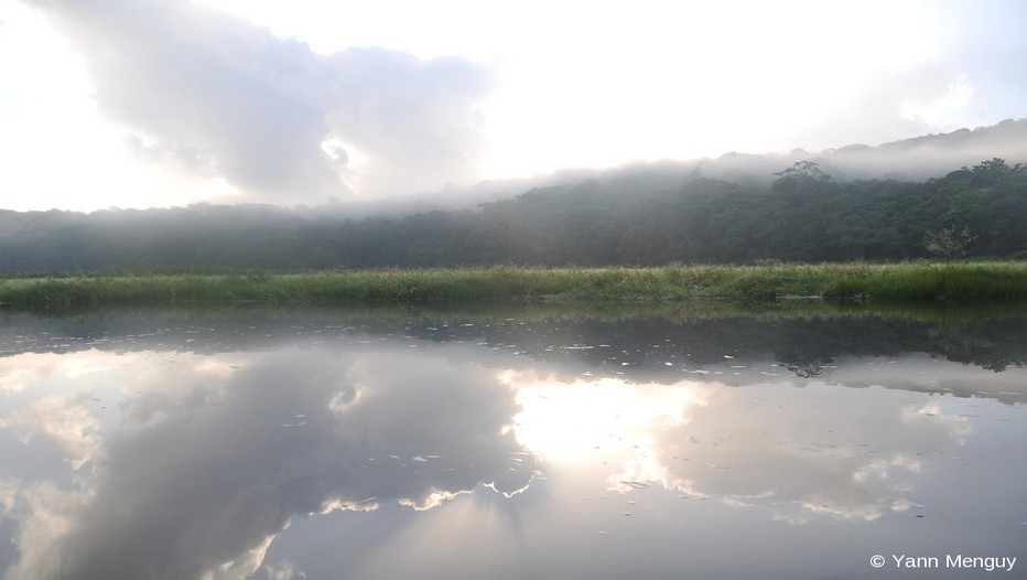 Vue étonnante de beauté sur la réserve naturelle des marais de Kaw-Roura  en Guyane (Photo Yann Menguy).