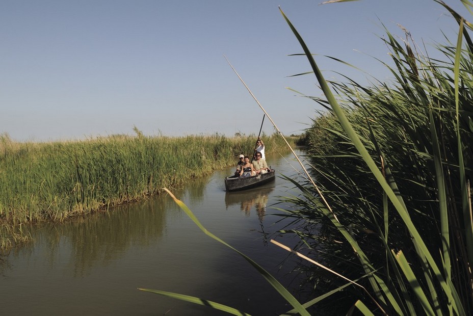 Découvrir en barque les rizières du delta de l'Ebre en @ Tina Bagué - ACT