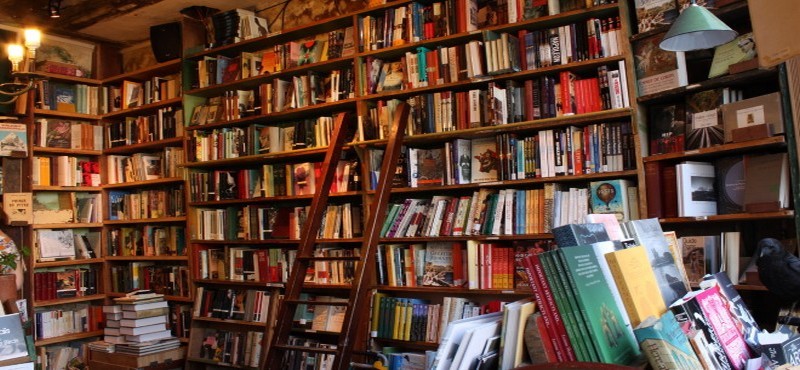 On cherche alors de quoi lire, dans l'illusion du voyage intérieur : plus de six cents romans s'offrent, dans des postures souvent impudiques (photo DR) On cherche alors de quoi lire, dans l'illusion du voyage intérieur : plus de six cents romans s'offrent, dans des postures souvent impudiques (photo DR)