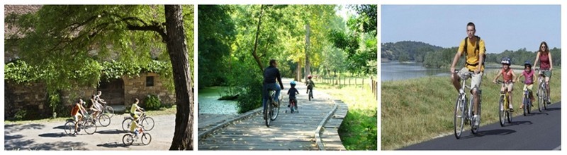 Promenades à vélo,en famille, pour découvrir les sentiers les plus mystiques, descendre les vallées et pénétrer dans les immenses forêts.(photos DR)