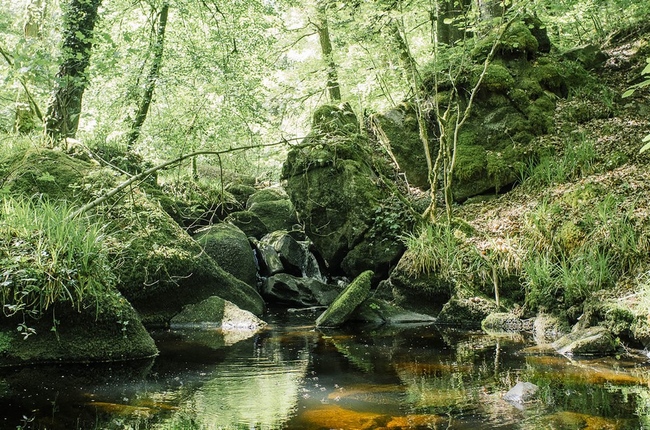 Forêt d'Huelgoat @ DR Forêt d'Huelgoat @ DR