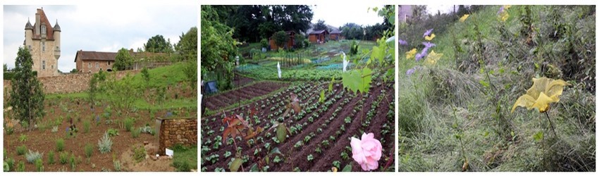 Acquise progressivement par la ville de Limoges, la vallée de l’Auzette, est toute entière aménagée en une succession de trois parcs. Avec leurs petites parcelles soigneusement cultivées, les jardins familiaux, font partie intégrante du paysage de Limoges. (Crédit photo David Raynal)