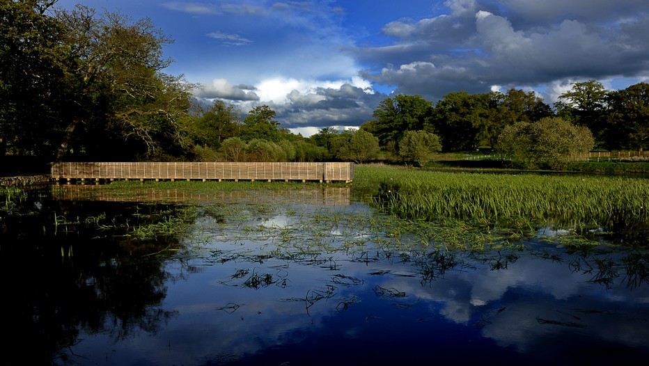 Le plan d'eau de La Borie accueille en été une colonie de grenouilles "très sonore" (Cédit photo JMPéricat).