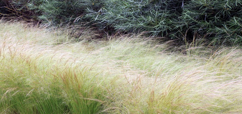 "Les Jardins de Colette" C’est ce voyage dans son existence, ses écrits et ses émotions que les concepteurs de ce jardin extraordinaire vous invitent à parcourir. (Crédit Photo David Raynal) "Les Jardins de Colette" C’est ce voyage dans son existence, ses écrits et ses émotions que les concepteurs de ce jardin extraordinaire vous invitent à parcourir. (Crédit Photo David Raynal)