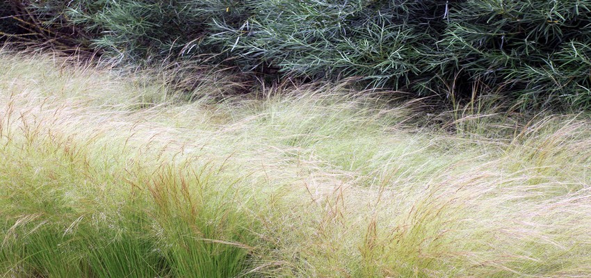 "Les Jardins de Colette" C’est ce voyage dans son existence, ses écrits et ses émotions que les concepteurs de ce jardin extraordinaire vous invitent à parcourir. (Crédit Photo David Raynal)