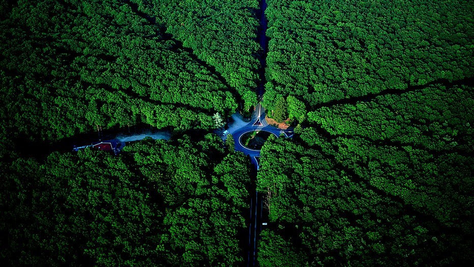 Carrefour de la forêt de Tronçais à Saint-Bonnet Tronçais (Crédit photo LECHENET Franck / CDT 03)