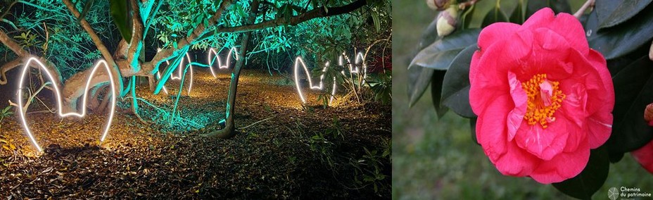 Les jardins du domaine de Trévarez mis en scène par la société rennaise Spectaculaires avec l'exposition de Dominique Richard avec pour thème Pinocchio @ David Raynal. En 2016, le Domaine de Trévarez a reçu une distinction internationale en devenant « Jardin d’excellence » pour sa collection de camélias. @Pascale Queré. Les jardins du domaine de Trévarez mis en scène par la société rennaise Spectaculaires avec l'exposition de Dominique Richard avec pour thème Pinocchio @ David Raynal. En 2016, le Domaine de Trévarez a reçu une distinction internationale en devenant « Jardin d’excellence » pour sa collection de camélias. @Pascale Queré.