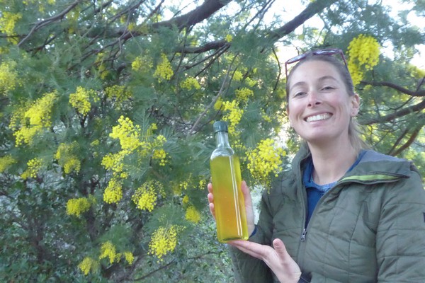 Maggie Polomeny notre guide sur les sentiers embaumés de Capitou fabrique un délicieux sirop de mimosa. @C.Gary