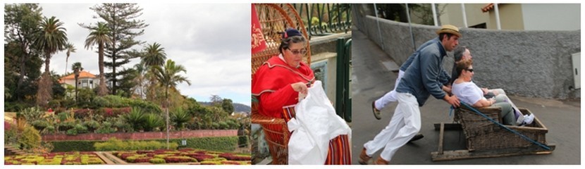 De gauche à droite : Le jardin botanique de Funchal ; Une dentellière travaille dans la plus pure tradition de cette région du Portugal;  Les carreiros (charretiers) promènent dans leur panier d'osier des touristes (Crédit photos André Degon)