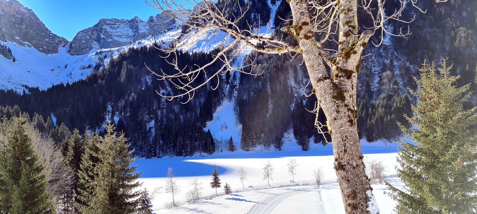 Le lac d'Arvouin, une des nombreuses pépites naturelles accessibles sans effort hiver comme été @ David Raynal Le lac d'Arvouin, une des nombreuses pépites naturelles accessibles sans effort hiver comme été @ David Raynal