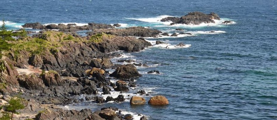 Diversité entre forêts luxuriantes et douceur de l'eau sur l’île de Yakushima, au sud de Kyushu, dans l’archipel Osumi.@Tripadvisor Diversité entre forêts luxuriantes et douceur de l'eau sur l’île de Yakushima, au sud de Kyushu, dans l’archipel Osumi.@Tripadvisor