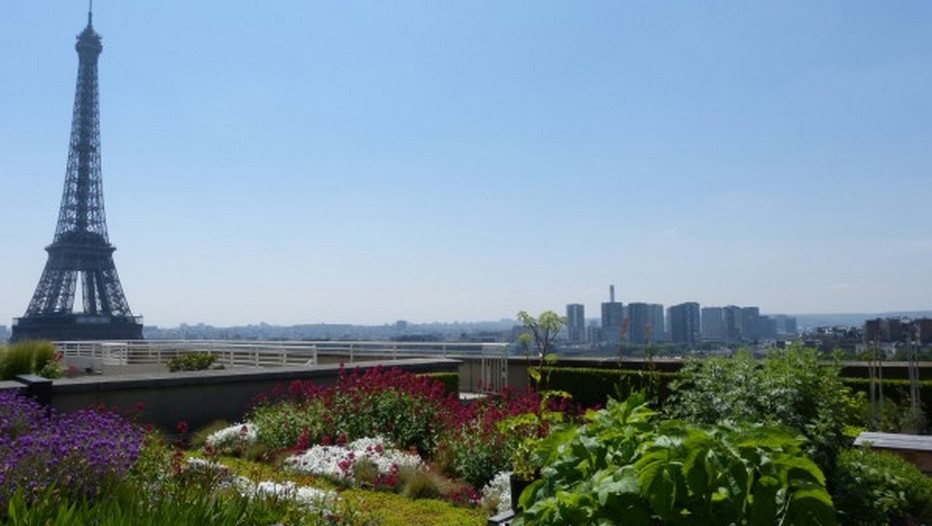 Jardins fleuris sur les toits du Palais de Chaillot, en plein centre de Paris (Photo DR)