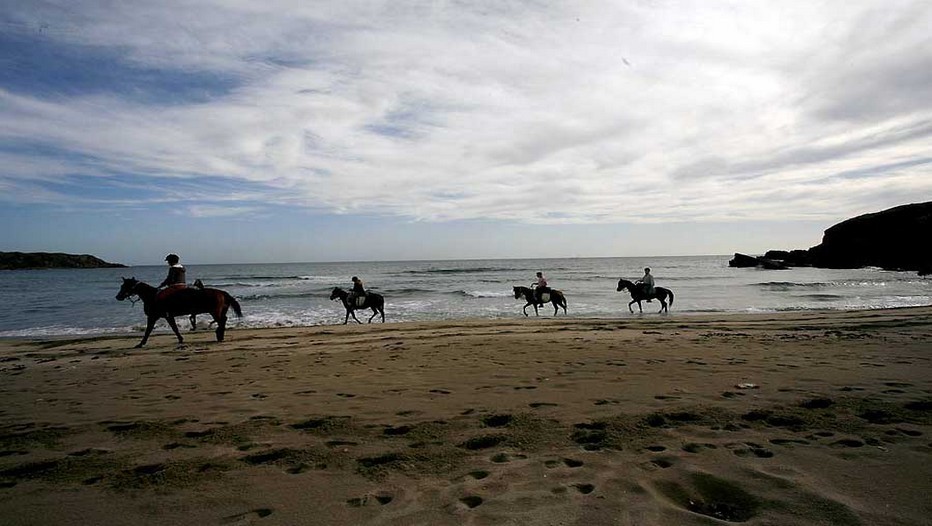 Randonnée à cheval au bord de la mer noire (Bulgarie) (Crédit Photo DR) Randonnée à cheval au bord de la mer noire (Bulgarie) (Crédit Photo DR)