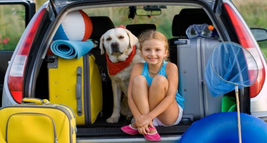 Automobile :   Petit précis pour rouler en toute sécurité et sérénité !