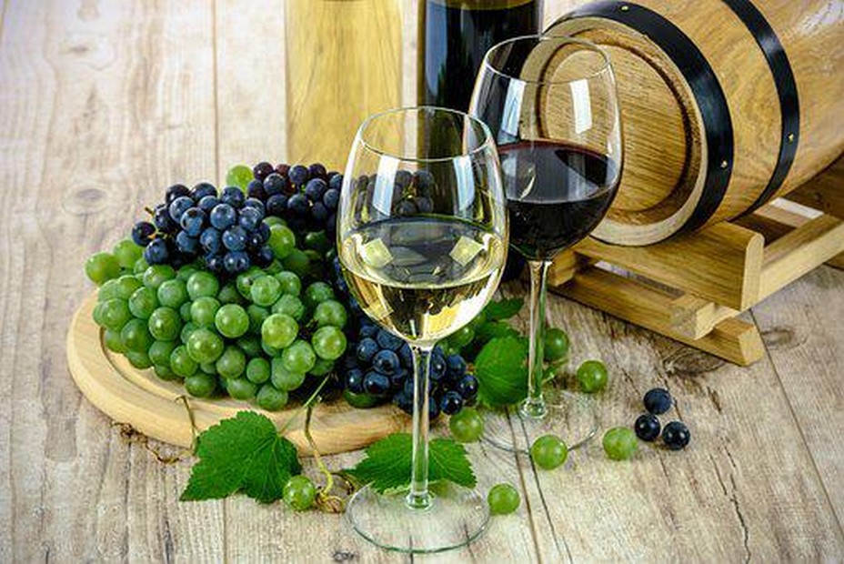 Paroles de vignerons des terroirs Nord de la France @ Pixabay/lindigomag