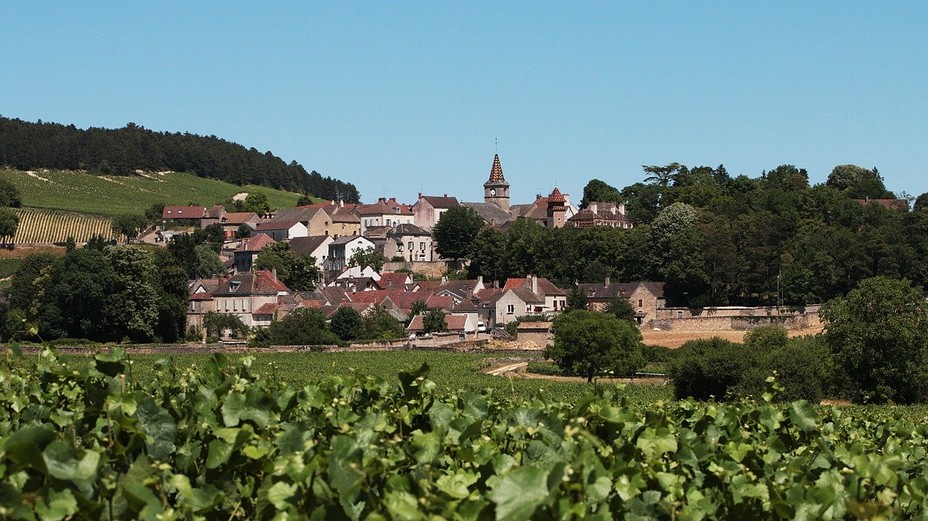 Le paysage bucolique et verdoyant d'un pays de vignobles. @Pixabay/lindigomag
