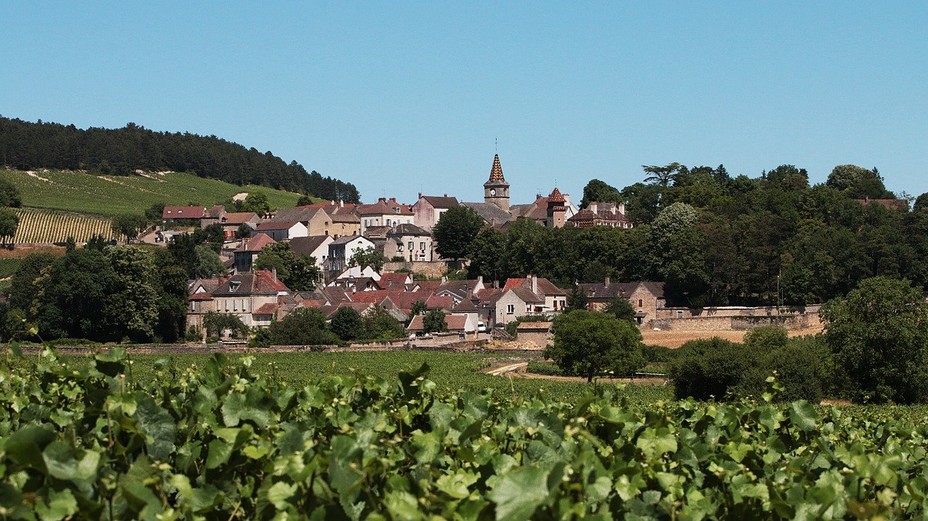 Le paysage bucolique et verdoyant d'un pays de vignobles. @Pixabay/lindigomag Le paysage bucolique et verdoyant d'un pays de vignobles. @Pixabay/lindigomag
