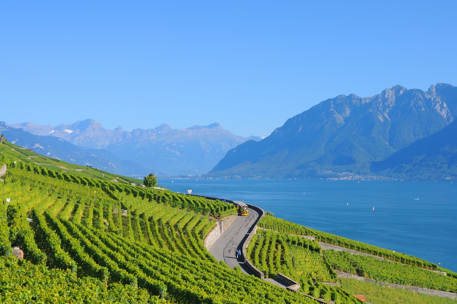 Entre Lausanne et Vevey le lac Léman s'étend au pied des vignobles en terrasses. @D Entre Lausanne et Vevey le lac Léman s'étend au pied des vignobles en terrasses. @D