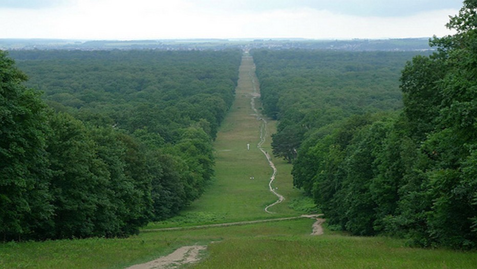 La célèbre Avenue des Beaux Monts qui accède au château de Compiègne dans l'Oise (Crédit photo DR)