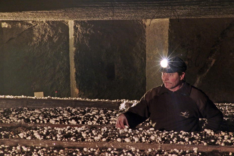 Cave vivante du Champignon @Anjou-Tourisme