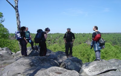 Promeneurs en forêt de Fontainebleau (Crédit Photo DR)