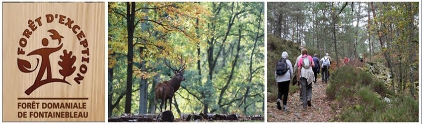 (Crédit Photos O.T.Seine et Marne) (Crédit Photos O.T.Seine et Marne)