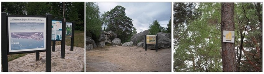 Ecotourisme  : Fontainebleau, une forêt d’exception !