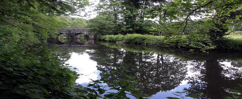 Un autre paysage de forêt profonde en Bretagne, cette fois-ci à Tonquédec, une commune située dans le département des Côtes-d'Armor (Crédit photo David Raynal) Un autre paysage de forêt profonde en Bretagne, cette fois-ci à Tonquédec, une commune située dans le département des Côtes-d'Armor (Crédit photo David Raynal)